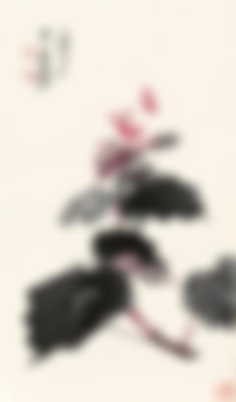 BEGONIA (preview)