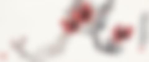 COTTON TREE BLOSSOMS (preview)