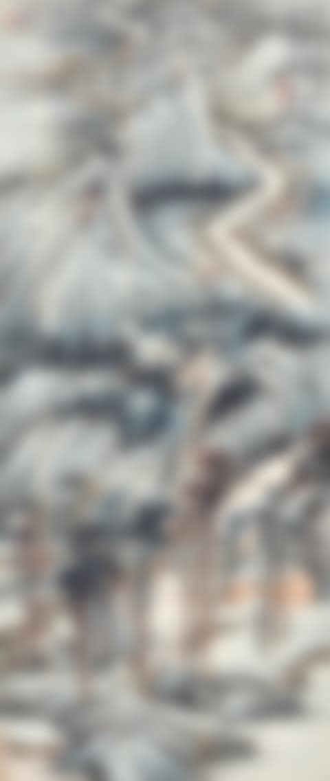 LANDSCAPE AFTER SHITAO (preview)