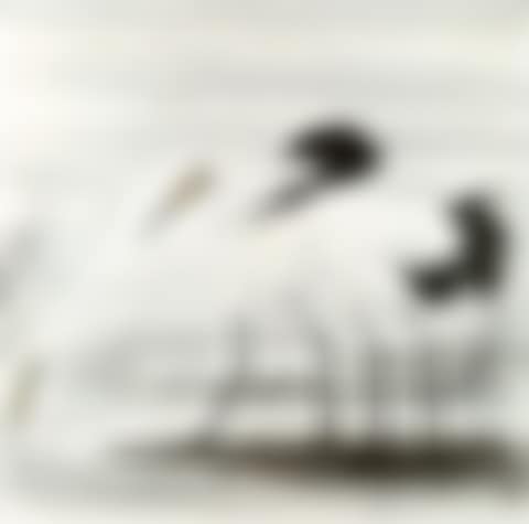 EGRETS (preview)