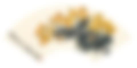 LOQUATS (preview)