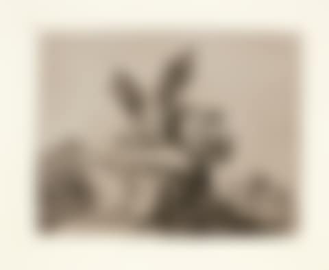 LOS DESASTRES DE LA GUERRA (preview)