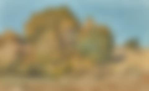 A WOODED LANDSCAPE (preview)