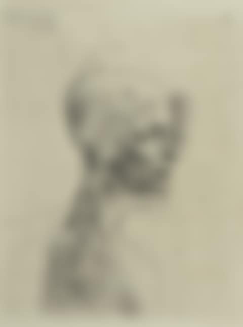 BUSTE D’HOMME (FROM LA SUITE DE SALTIMBANQUES ) (preview)