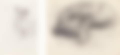 NINE SKETCHES OF ANIMALS (preview)