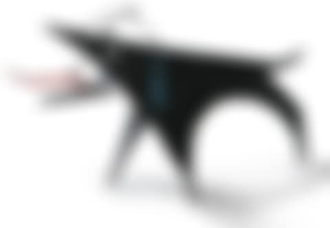 PUP (preview)