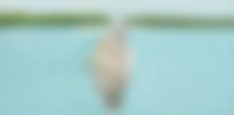 STUDY FOR "GOOD AFTERNOON" (preview)