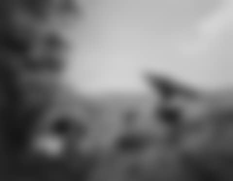 GOLDEN EAGLE' (preview)