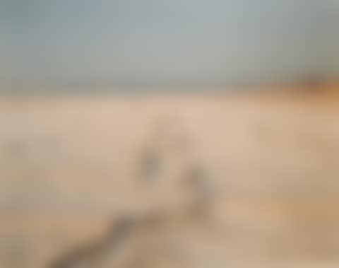 ENCRUSTED TRACKS, BONNEVILLE SALT FLATS (preview)