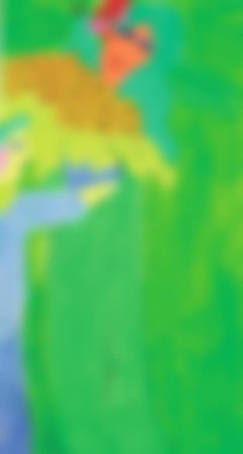 WOMAN WITH BOUQUET (preview)