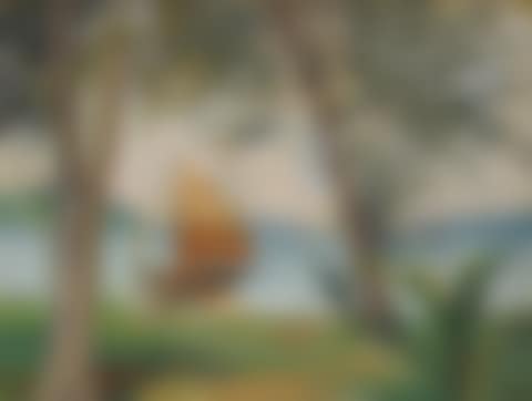 VIEW OVER THE SOUTH SEA OF VIETNAM (preview)