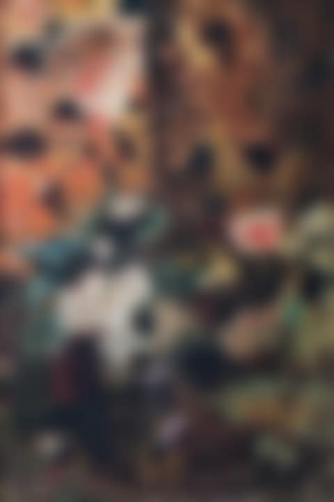 FESTIVITIES  (preview)