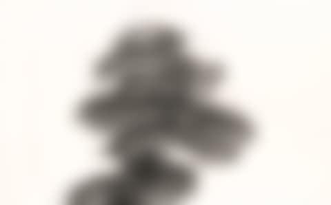 YUME (DREAM) (preview)