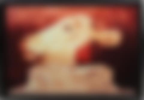 Cabeza de Vaca (preview)