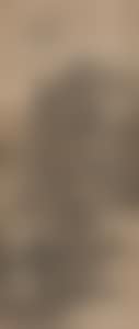 LANDSCAPE (preview)