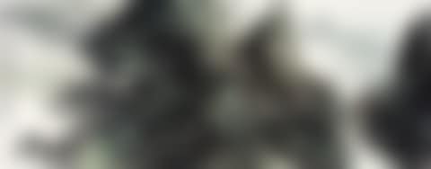 Mountain View (preview)