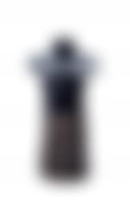 The Buddha in the Cloud (preview)