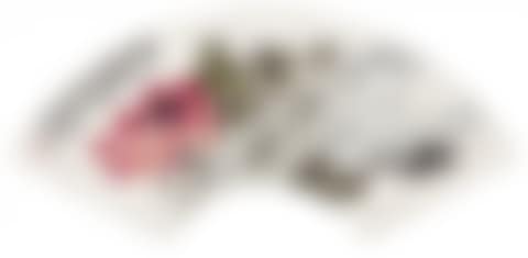 FLOWERS (preview)