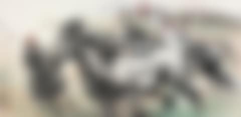 RIDING HORSE (preview)