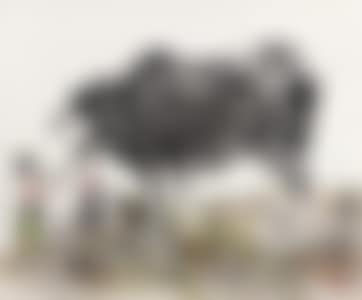 BUFFALO (preview)