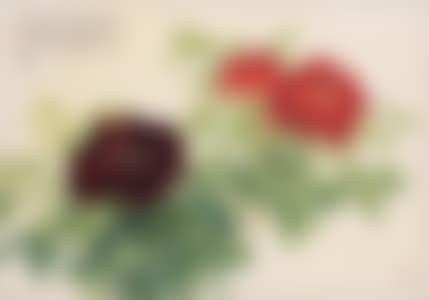 PEONY (preview)