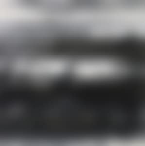 GEESE (preview)
