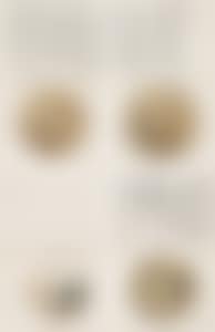 VARIOUS SUBJECTS (preview)