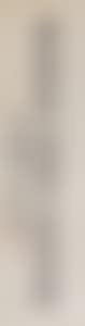 CALLIGRAPHY (preview)