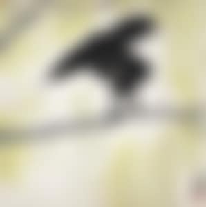 FEATHER (preview)