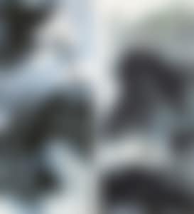 LOTUS (preview)