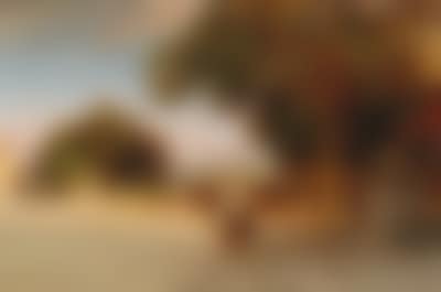 Scene at dusk on the terrace of Villa Grazioli in Grottaferrata (preview)