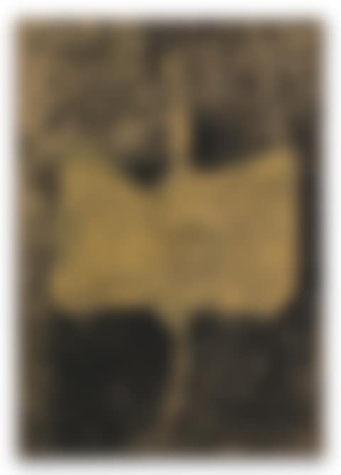 CONCETTO SPAZIALE (preview)