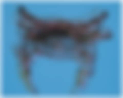 CRAB (preview)