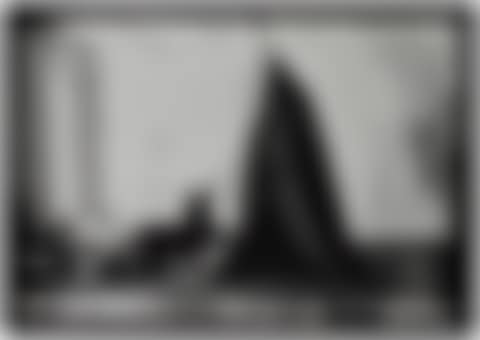 COYOTE (I LOVE AMERICA AND AMERICA LOVES ME), AFTER JOSEPH BEUYS (PICTURES OF PAPER) (preview)