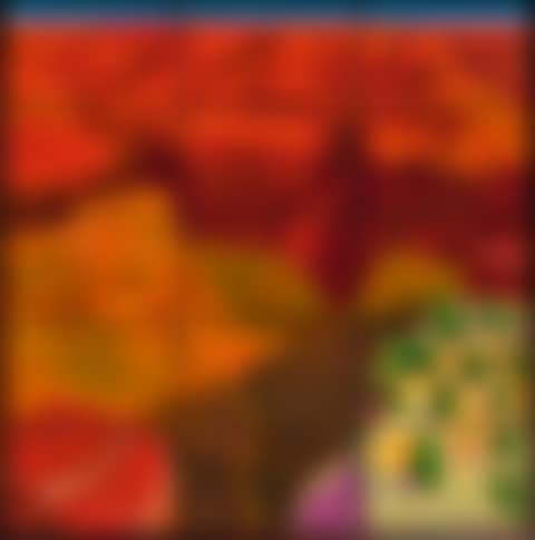 15 CANVAS STUDY OF THE GRAND CANYON (preview)