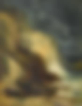 La Cascade , (preview)