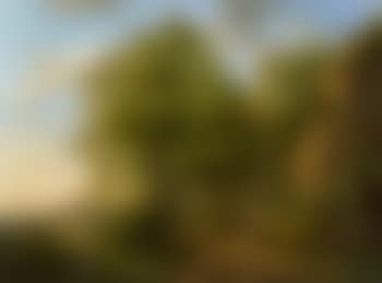 Summer landscape in the Meuse valley , (preview)