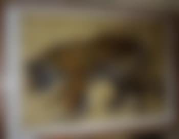 Tigre , (preview)