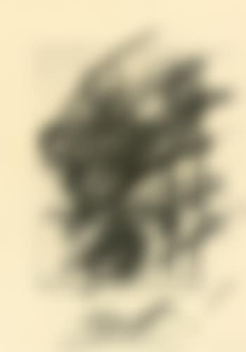 Mit! , (preview)
