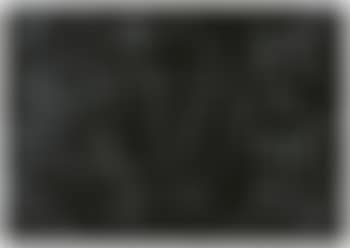 Ohne Titel ,
1996 (preview)