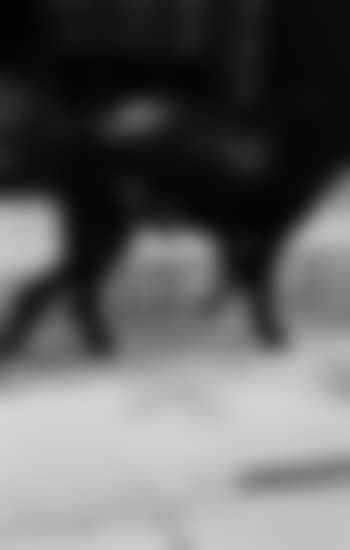 Untitled (Parkett 33) ,
1992 (preview)