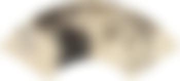 Squirrel ,
1891 (preview)