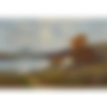 Autumn morning in Co. Galway , (preview)