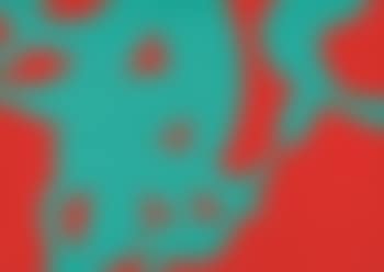 Verde Su Rosso ,
2008 (preview)