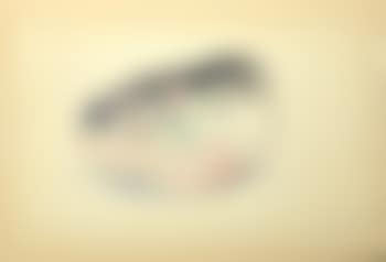 Fish head ,
1944 (preview)