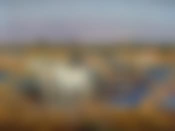 Chevaux en Camargue , (preview)