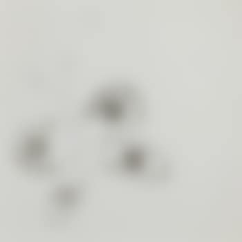 Butterfly with Dots , (preview)