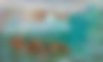 The farm yard , (preview)