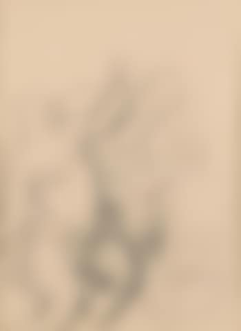 Nude , (preview)