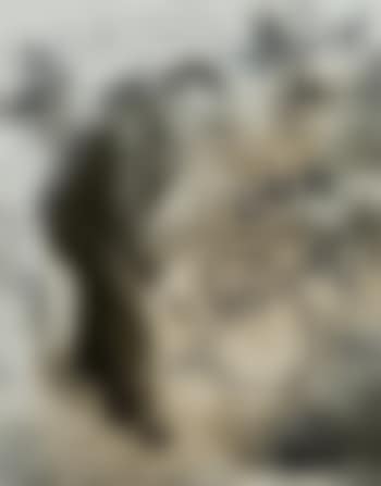 [Untitled] ,
1972 (preview)